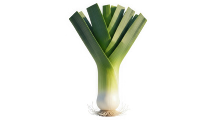 Fresh raw leek isolated on transparent background, a healthy and tasty vegetable