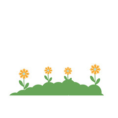 Nature Grass Decoration