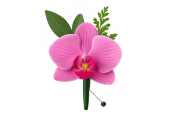 Pink orchid flower boutonniere celebrating special events