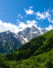 Scenic mountain landscape with green foliage and bright blue sky