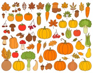 Autumn fruit and vegetable element set