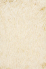 白色の毛皮素材