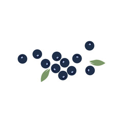 Blueberry logo simple vector