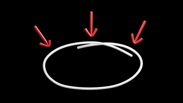 3D Red Arrows Pointing to a Circle Animation | Alpha Loop