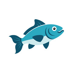 Cod on White Background