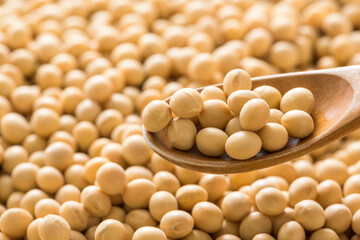 スプーンですくった大豆