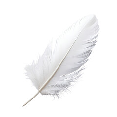 Obraz premium Elegant Detailed, delicate white feather floats against a stark background