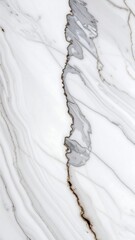 Close-up view of white marble, showcasing flowing, veined patterns.  Gray and dark streaks run through the surface