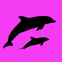 Fototapeta premium silhouette of a dolphin jumping