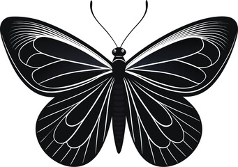 A-butterfly-with-spread