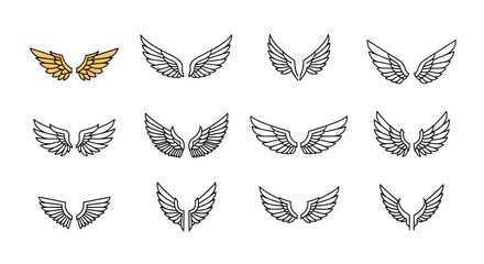A collection of twelve different artistic representations of avian wings in various styles and mediums.