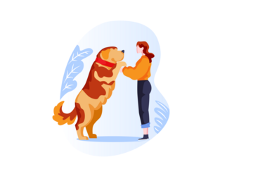 Pixelated Golden Dog Paws with Woman Isolated on Transparent Backdrop