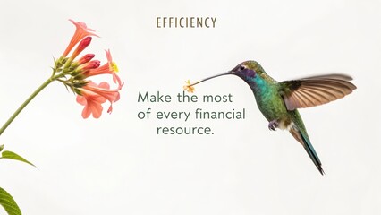 Hummingbird sipping nectar embodying financial efficiency concept