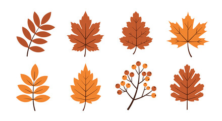 Eight different types of autumn leaves and berries in warm colors.