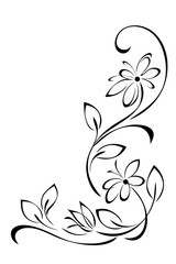 decorative corner design with floral pattern and curls