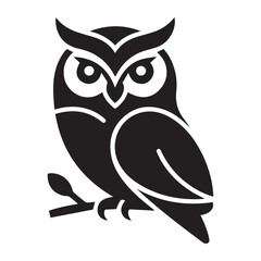 owl on white background