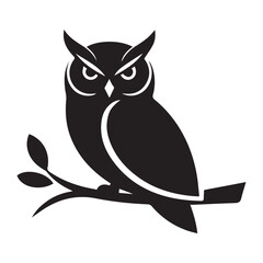 owl on white background