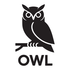 owl on a white background