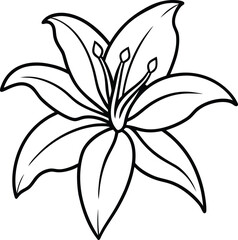 Elegant lily flower outline vector in floral line drawing style. Great for invitations, botanical prints, tattoos, and minimalist art projects.