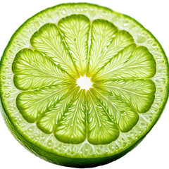 Cut lime backlit, detailed segments radiating from the center