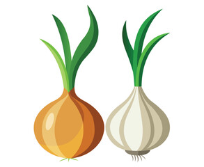 Illustration of a yellow onion and a white garlic bulb side by side