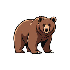 brown bear vector illustration