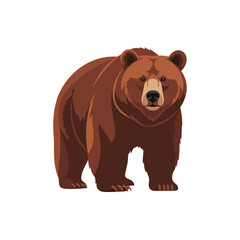 brown bear vector illustration