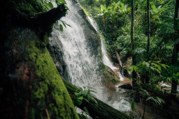 Small waterfall in the natural forest, water source and environmental conservation
