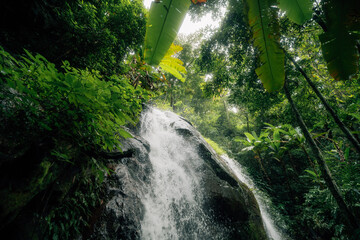 Small waterfall in the natural forest, water source and environmental conservation