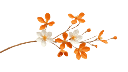 Delicate Orange and White Cherry Blossom Branch Illustration