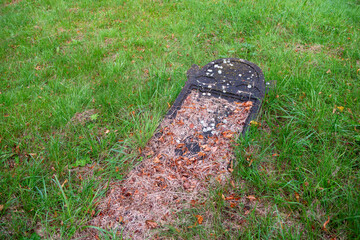 Old, overgrown Jewish gravestone covered with moss, lichen, and dry leaves. A silent reminder of history in an abandoned cemetery.
