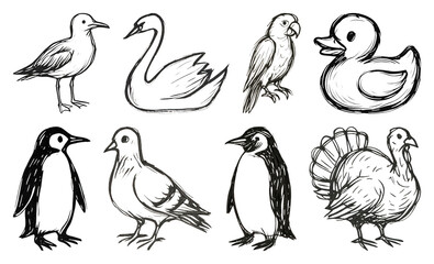 Obraz premium PNG Hand-drawn bird illustrations collection, element set on transparent background