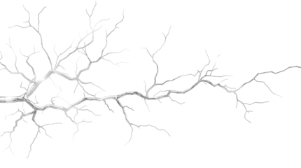 White lightning bolt graphic on black background isolated on a transparent background