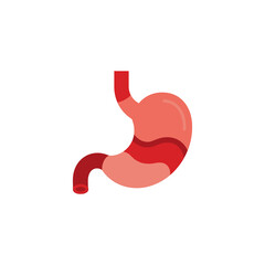 Illustration of a human stomach anatomy, showing the organ's structure in red and pink tones on a white background.