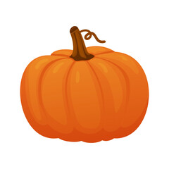 Bright orange pumpkin with brown stem, autumn harvest