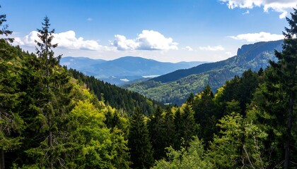 Fototapeta premium Scenic Overview of a Lush Mountain Valley Under a Blue Sky