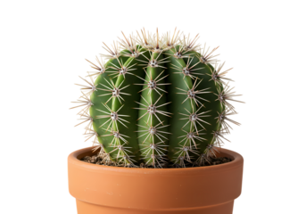 Curved Dotted Arrow Icon on transparent background