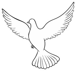 Obraz premium Line art illustration of a flying dove with open wings