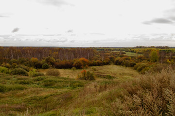 A panoramic autumn landscape in the central part of Russia: a meadow with tall grass gives way to a mixed forest with birches and shrubs, hued in yellow, orange, and green. Under an overcast sky, the 