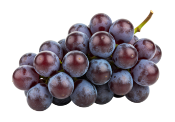 White Ribbed Knit Fabric Detail on transparent background