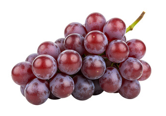 Green Tree on White Background on transparent background