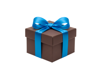 Radiant Sunflower on White Background on transparent background