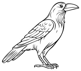 Obraz premium Majestic Crow Bird Line Art Illustration Isolated Black and White Drawing