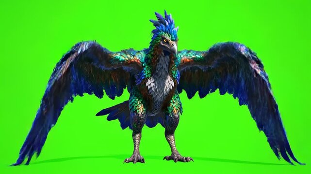 black and white rooster