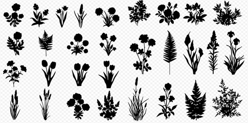 A diverse set of black silhouettes featuring various flowers, grasses, ferns, and bushes, isolated on a transparent background.