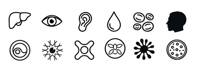 Human organs and cells icons set of liver, eye, ear, drop, cell group, head silhouette, spiral, neuron, molecule, virus, splash and pizza icons in vector format