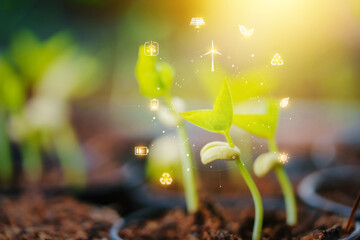 Vibrant young seedlings emerge from dark soil, sustainability icons solar panel, recycling symbol, representing the integration of clean energy technology and smart agriculture for a green future.