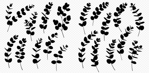Naklejka premium A collection of black silhouette eucalyptus branches and leaves, isolated on a transparent background for design elements.