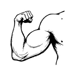 Stylized muscular arm illustration displaying strength emphasizing biceps, showcasing a contour