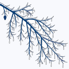 Stylized illustration of a dark blue pine branch covered in snow and ice with small icicles hanging from the needles
